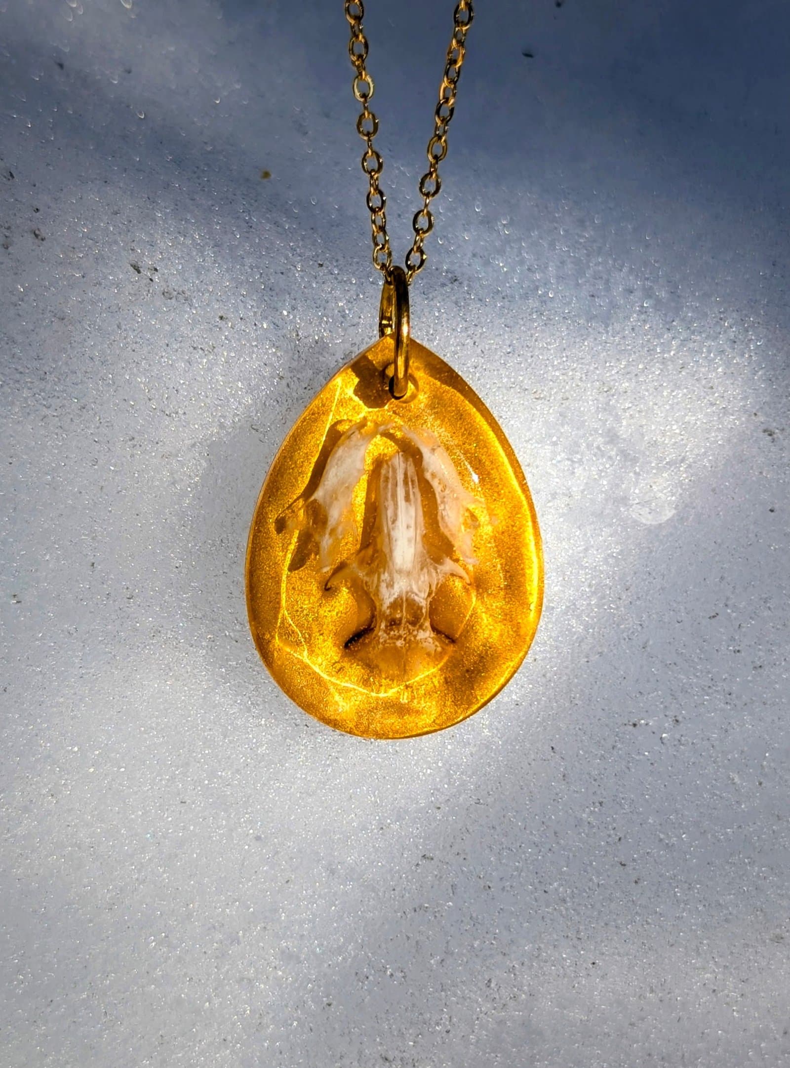 Complete Mouse Skull & Lower Jaw