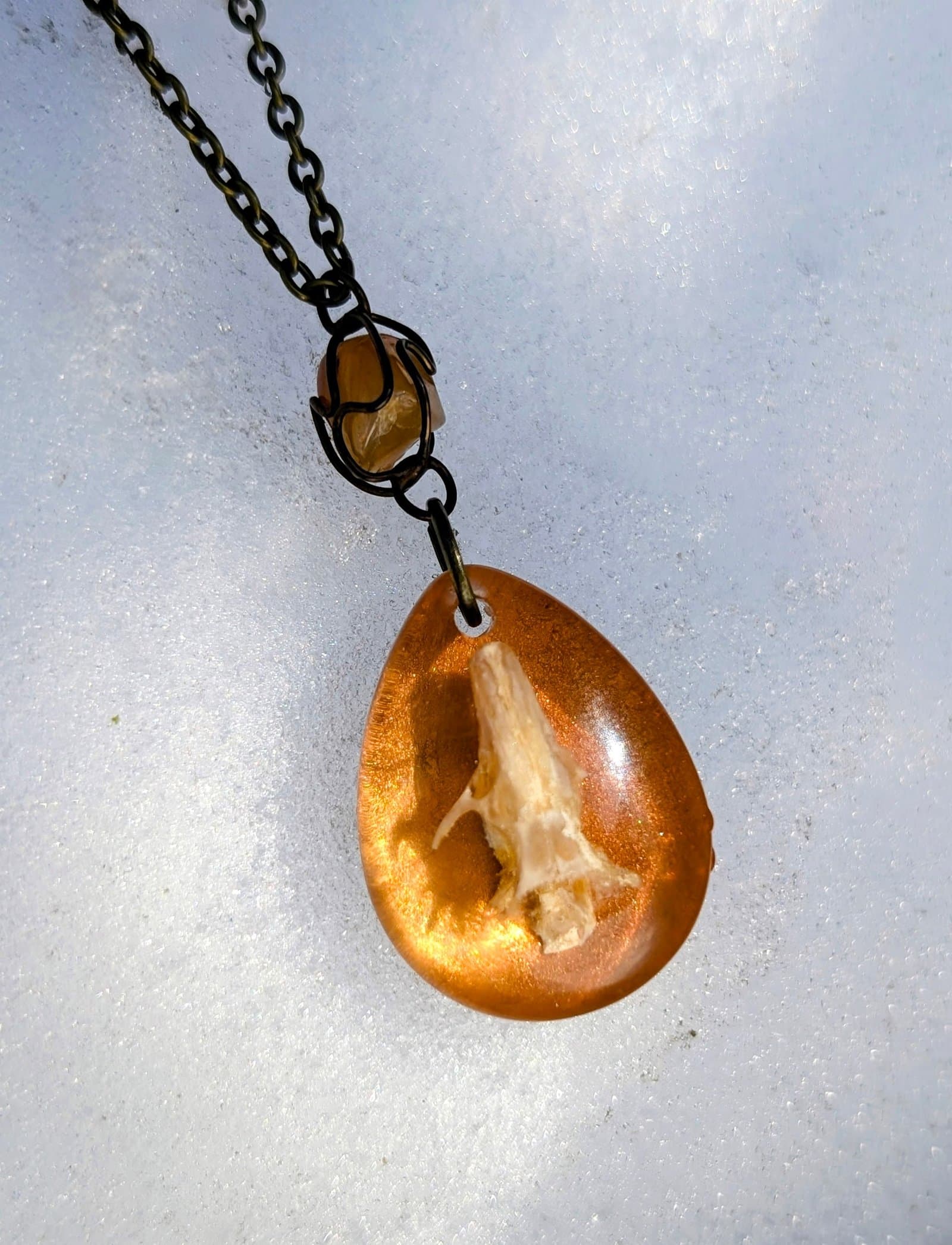 Mouse Skull in Resin