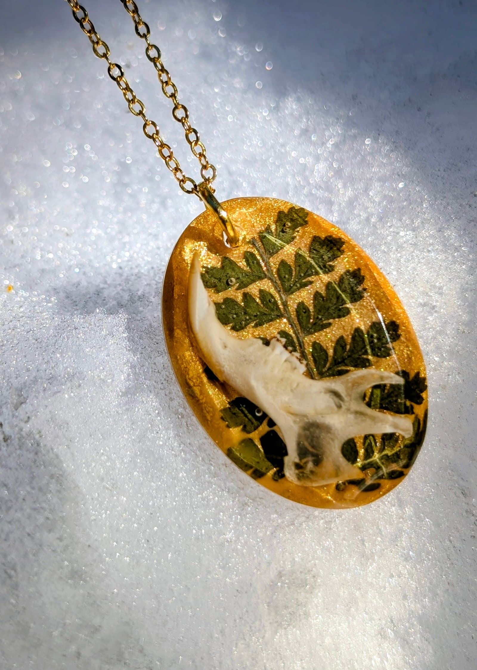 Wood Rat Mandible & Fern